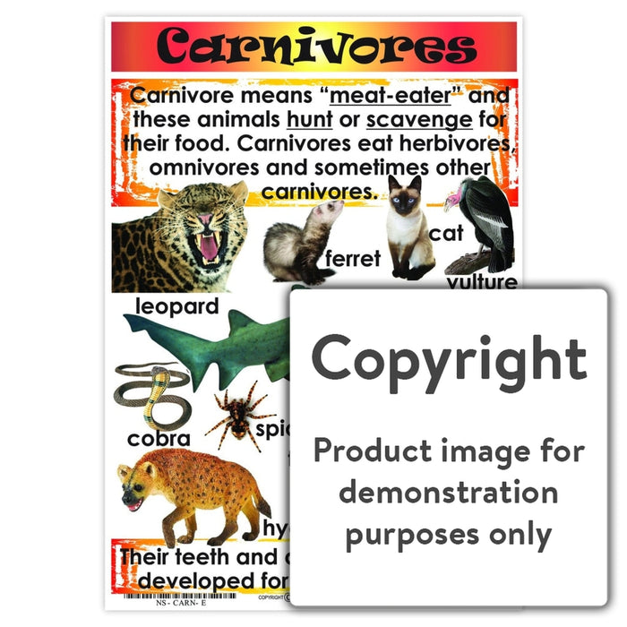 Carnivores Wall Charts And Posters