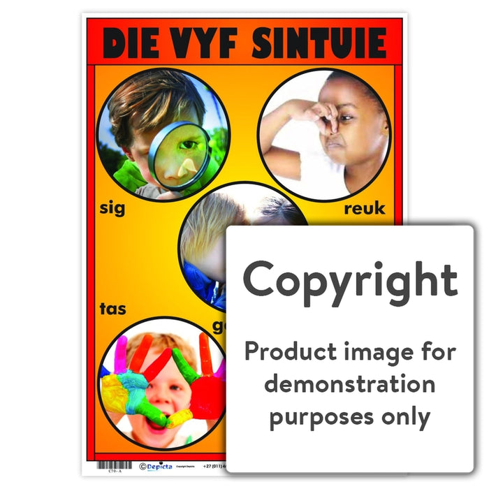 Die Vyf Sintuie Wall Charts And Posters