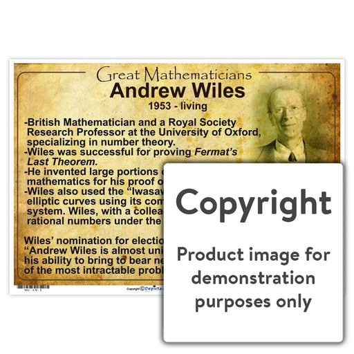 Great Mathematicians: Andrew Wiles Wall Charts And Posters