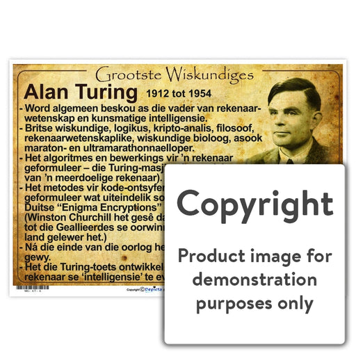 Grootste Wiskundiges: Alan Turing Wall Charts And Posters