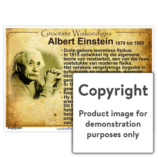 Grootste Wiskundiges: Albert Einstein Wall Charts And Posters