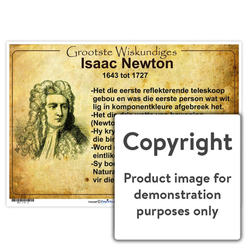 Grootste Wiskundiges: Isaac Newton Wall Charts And Posters