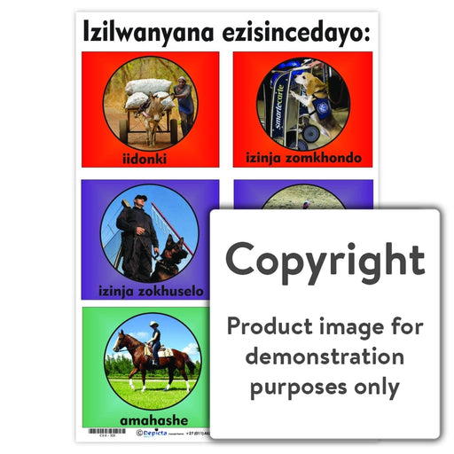 Izilwanyana Ezisincedayo ( Animals That Help Us ) Wall Charts And Posters