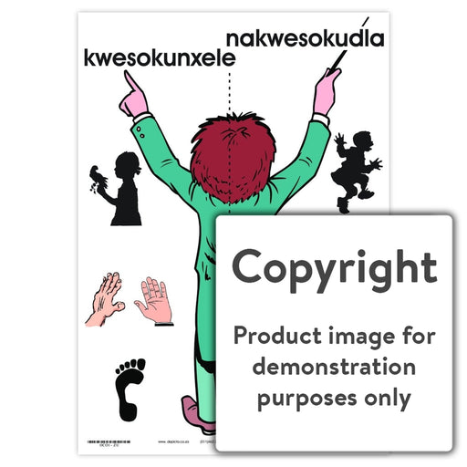 Kwesokunxele Nakwesokudla (Left And Right) Wall Charts Posters