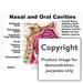 Nasal And Oral Cavities Wall Charts Posters