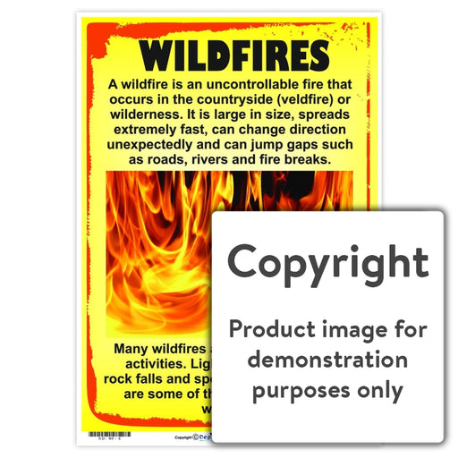 Wildfires Wall Charts And Posters