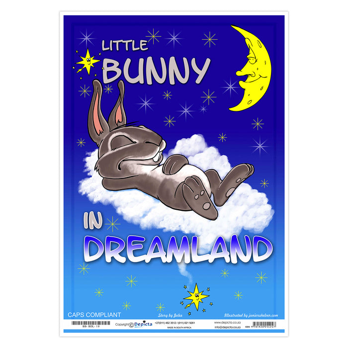 Little Bunny in Dreamland (Big Book)