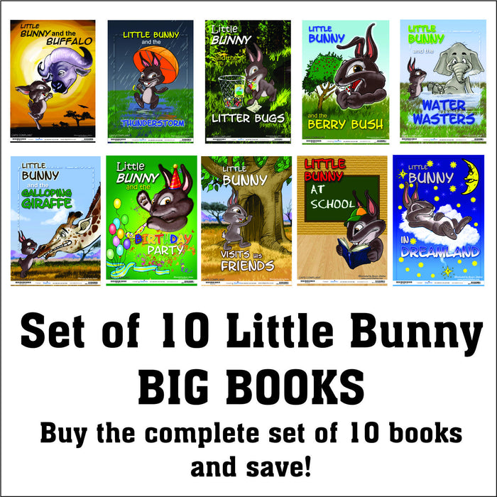 Little Bunny Big Books - set of 10
