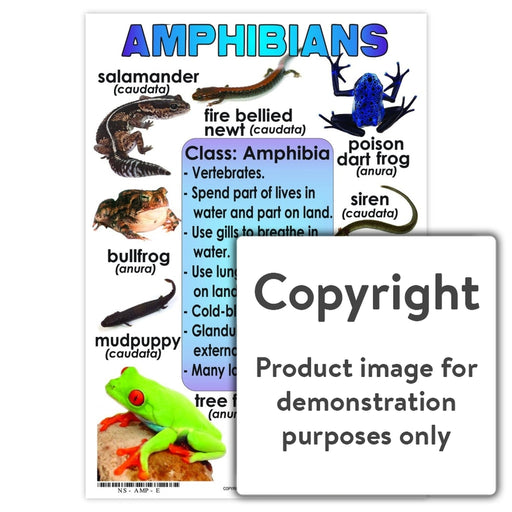 Amphibians Wall Charts And Posters