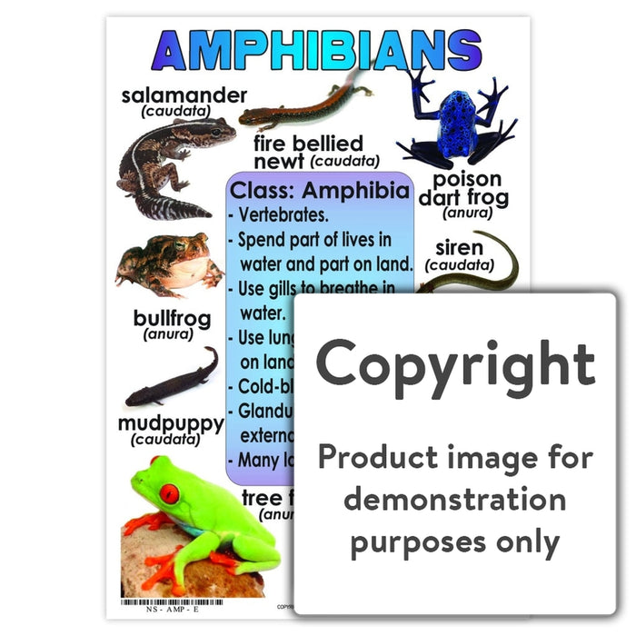 Amphibians Wall Charts And Posters