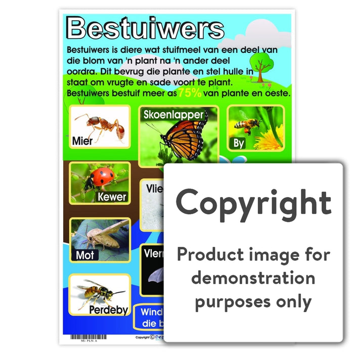 Bestuiwers Wall Charts And Posters