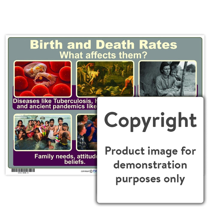 Birth And Death Rates Wall Charts Posters