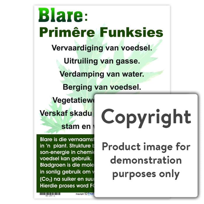 Blare: Primêre Funksies Wall Charts And Posters