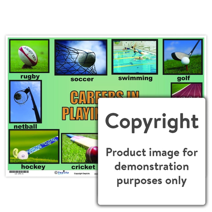 Careers In Playing Sport Wall Charts And Posters