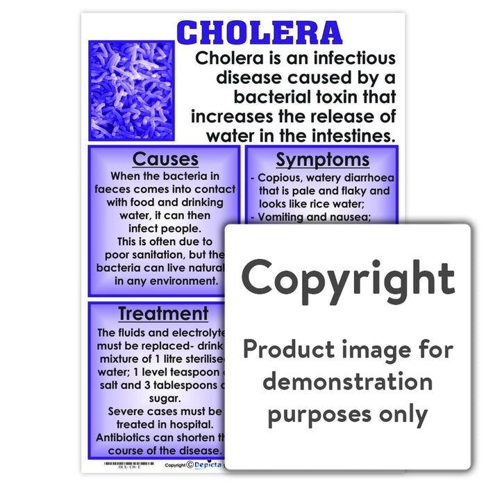 Cholera Wall Charts And Posters
