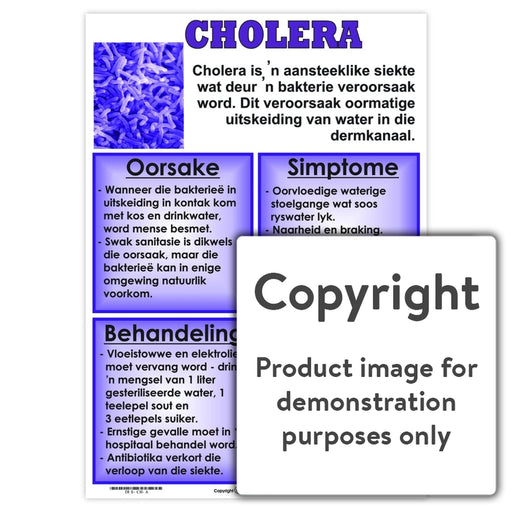 Cholera Wall Charts And Posters
