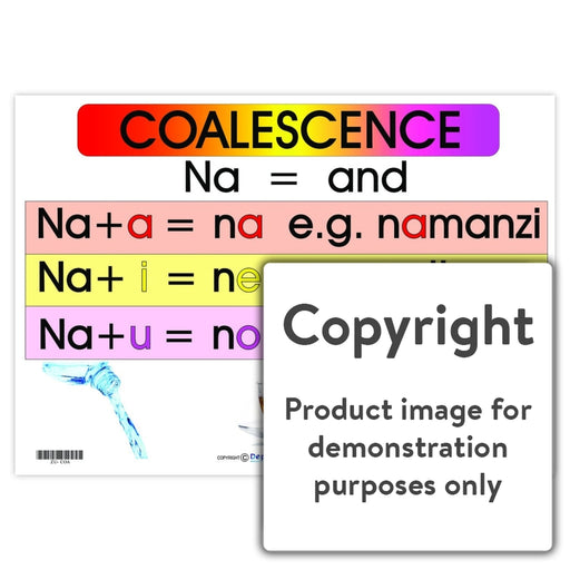 Coalescence - (Zulu Language Chart) Wall Charts And Posters