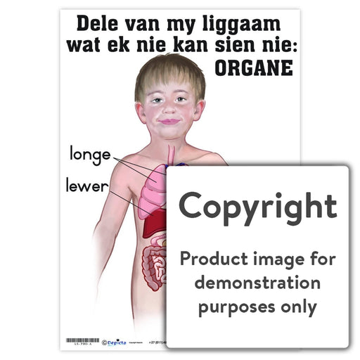 Dele Van My Liggaam Wat Ek Nie Kan Sien Nie: Organe Wall Charts And Posters