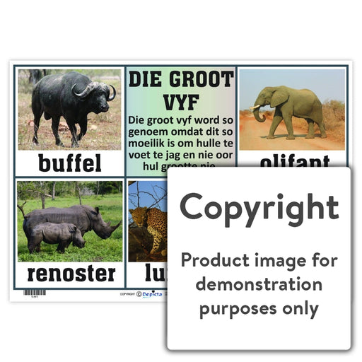 Die Groot Vyf Wall Charts And Posters