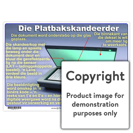 Die Platbakskandeerder Wall Charts And Posters