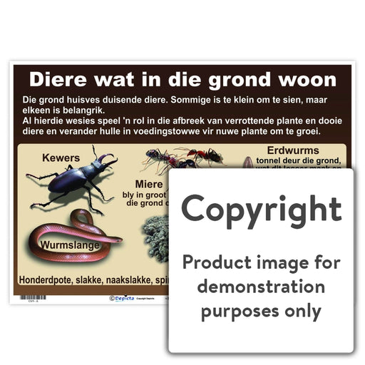 Diere Wat In Die Grond Woon Wall Charts And Posters