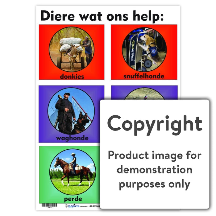 Diere Wat Ons Help Wall Charts And Posters