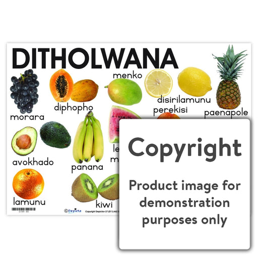 Ditholwana ( Fruit ) Wall Charts And Posters