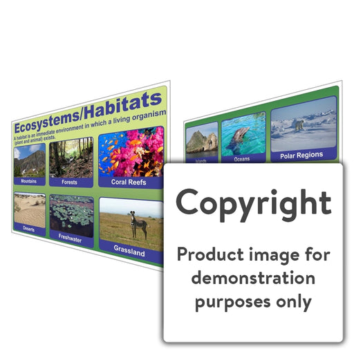 Ecosystems/habitats Wall Charts And Posters