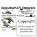 Ezokuthutha: Emoyeni (Air Transport) Wall Charts And Posters