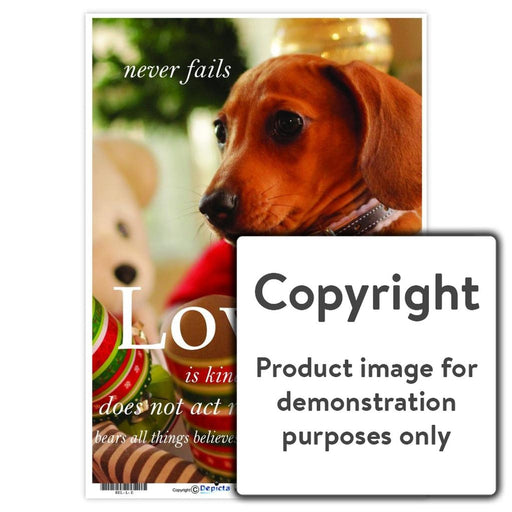 Facts About Love Wall Charts And Posters