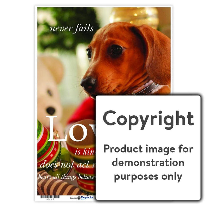 Facts About Love Wall Charts And Posters