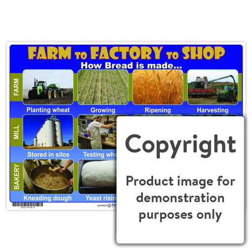 Farm To Factory Shop - Bread Wall Charts And Posters