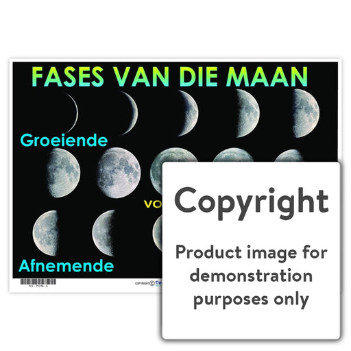 Fases Van Die Maan Wall Charts And Posters