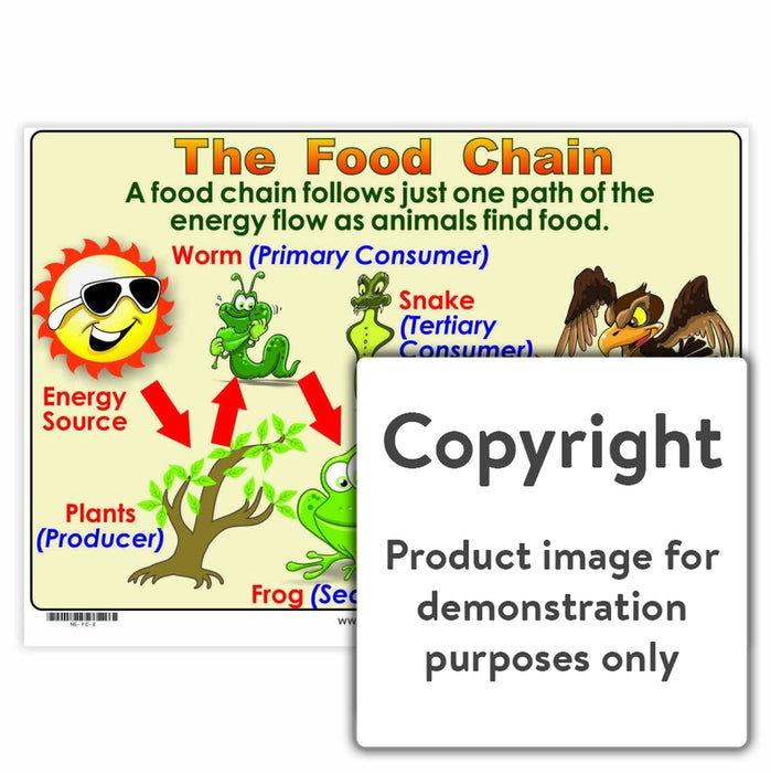 Food Chain Wall Charts And Posters