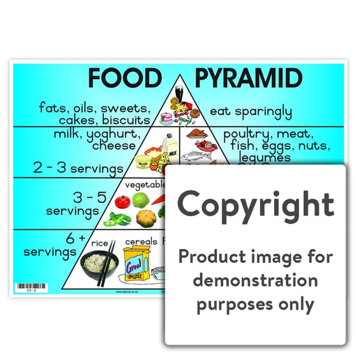 Food Pyramid Wall Charts And Posters