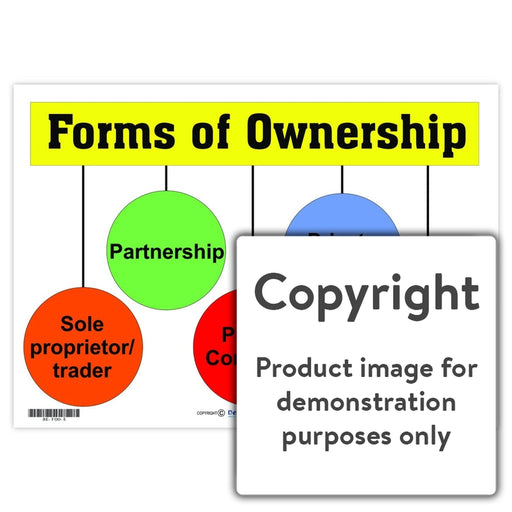 Forms Of Ownership Wall Charts And Posters