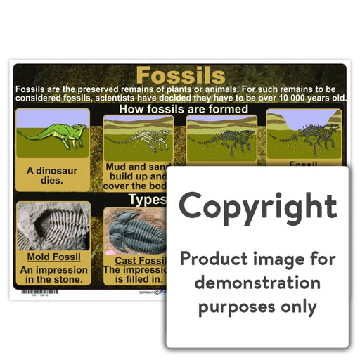 Fossils Wall Charts And Posters
