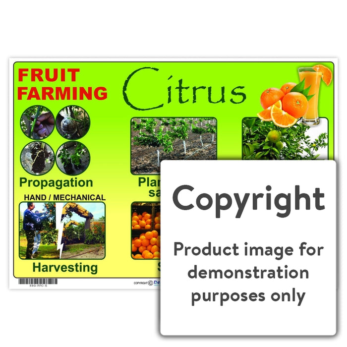 Fruit Farming: Citrus Wall Charts And Posters