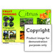 Fruit Farming: Citrus Wall Charts And Posters