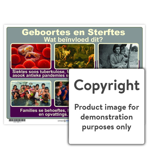 Geboortes En Sterftes Wall Charts And Posters