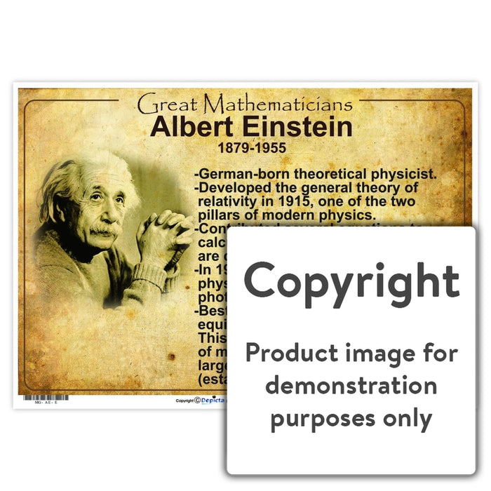 Great Mathematicians: Albert Einstein Wall Charts And Posters