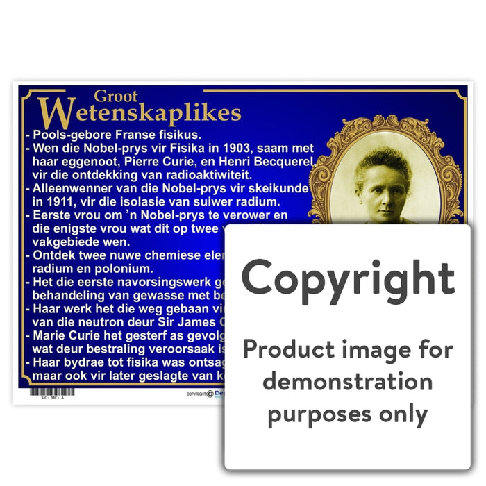 Groot Wetenskaplikes: Marie Curie Wall Charts And Posters