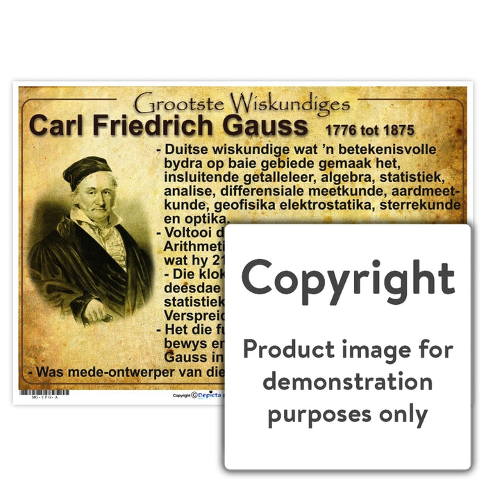 Grootste Wiskundiges: Carl Friedrich Gauss Wall Charts And Posters