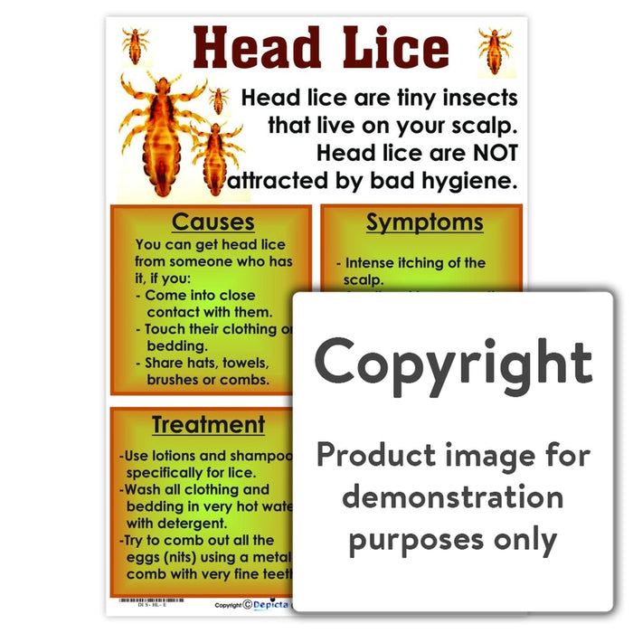 Head Lice Wall Charts And Posters