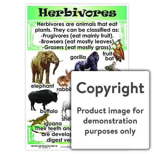 Herbivores Wall Charts And Posters