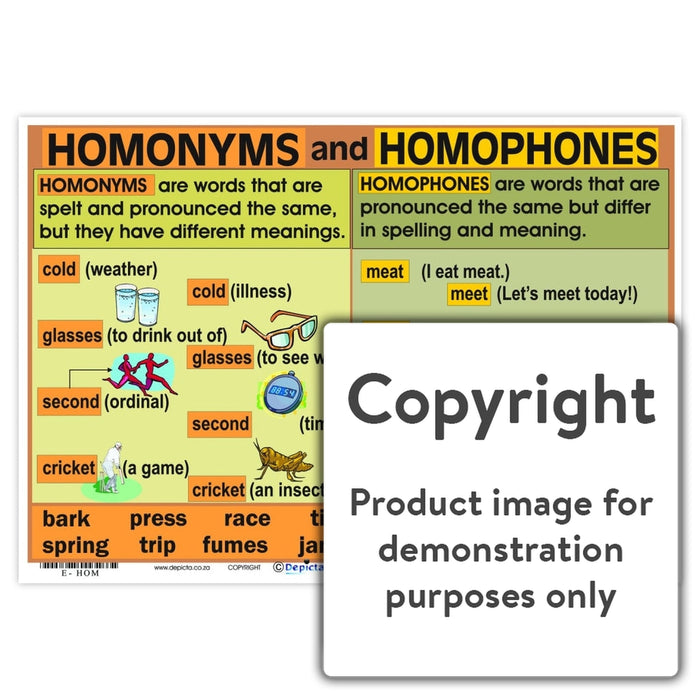 Homonyms And Homophones Wall Charts Posters