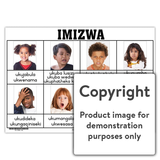 Imizwa ( Feelings ) Wall Charts And Posters