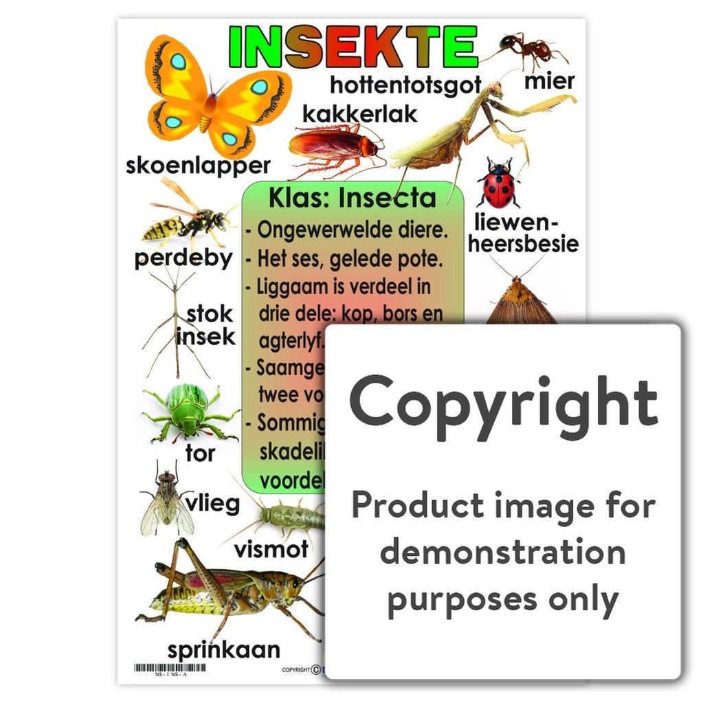 Insekte — Depicta