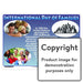 International Day Of The Family Wall Charts And Posters