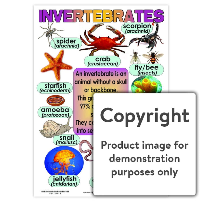Invertebrates Wall Charts And Posters